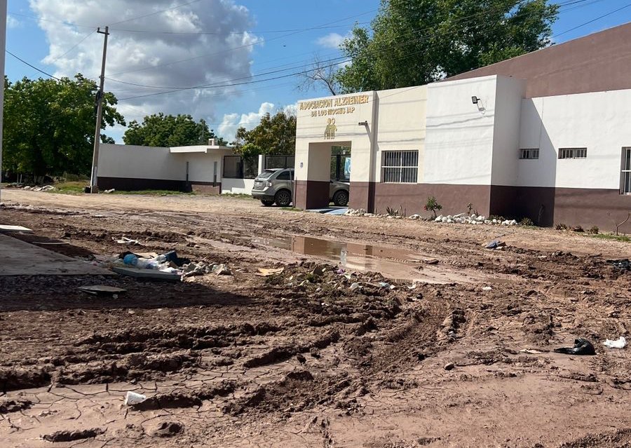 lodazales en fraccionamiento santa cecilia en los mochis lugar