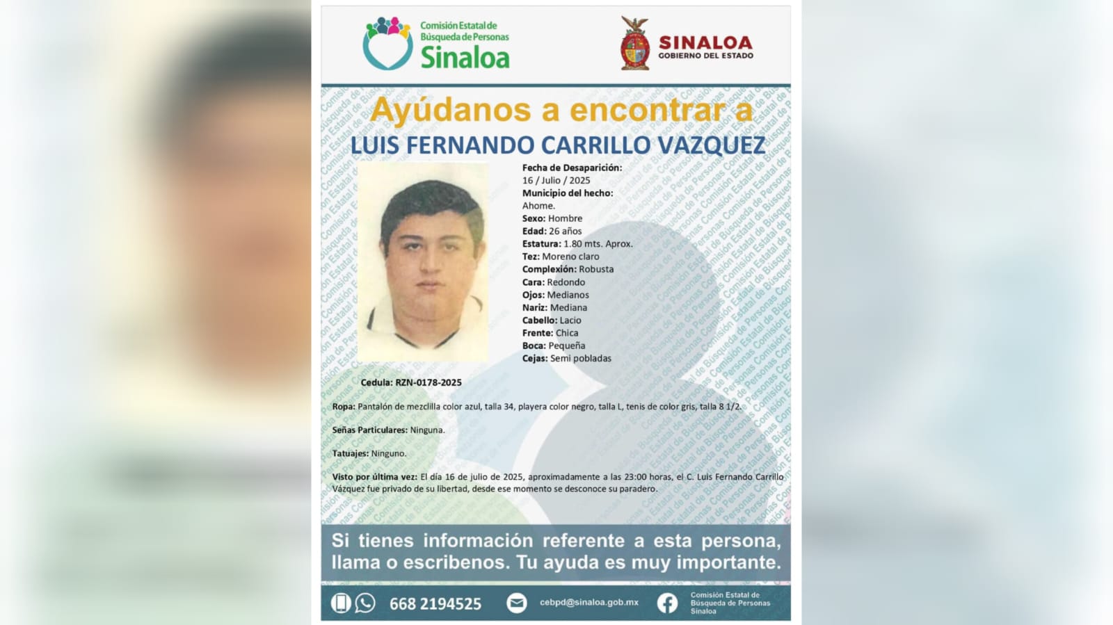 luis fernando carrillo