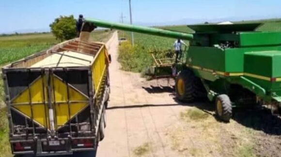 Sin apoyo del gobierno federal y la atención de los diputados, los productores tendrán que luchar por recursos: AARFS