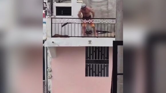 Hombre que agredió a palazos a un perro en Mazatlán será turnado al juez cívico: Ecología