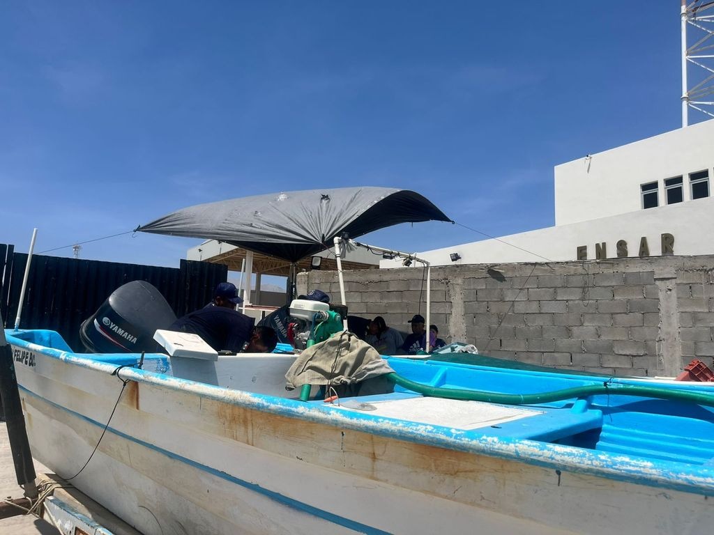 Más de 800 barcos pesqueros llevarán rastreo satelital contra la ilegalidad de la pesca de la vaquita marina
