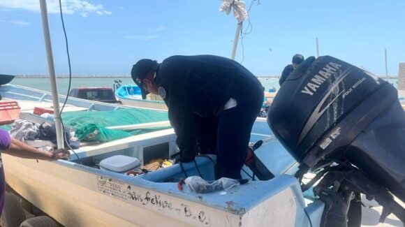 Se ajustan acciones junto con municipios para evitar la pesca furtiva del camarón en plena veda: Emilia Guerra