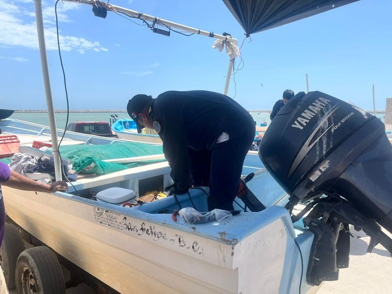 Más de 800 barcos pesqueros llevarán rastreo satelital contra la ilegalidad de la pesca de la vaquita marina