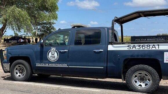Muere un hombre en un hospital privado de La Trinidad, Guasave al ser picado por abejas