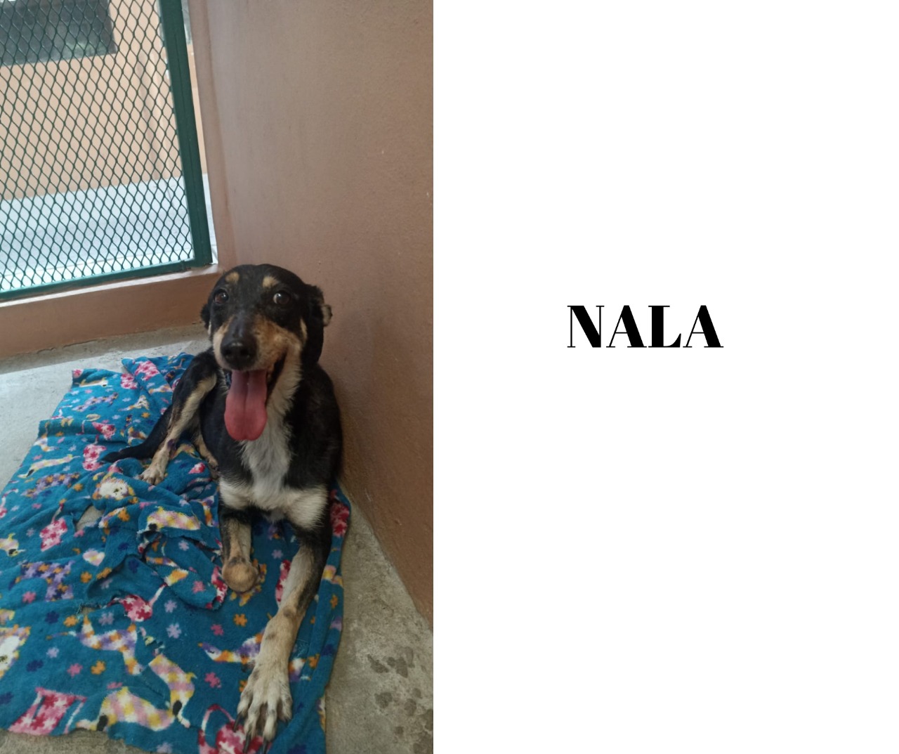 nala