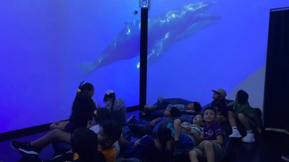 Niñas y niños de Casa Hogar Mazatlán visitan el Museo de la Ballena gracias a la presidenta municipal