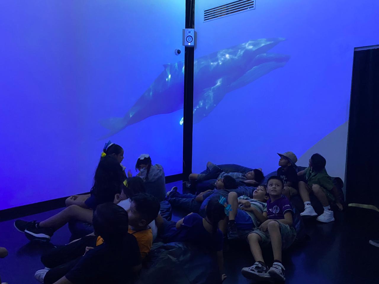 Niños de Casa Hogar Mazatlán visitan el Museo Nacional de la Ballena