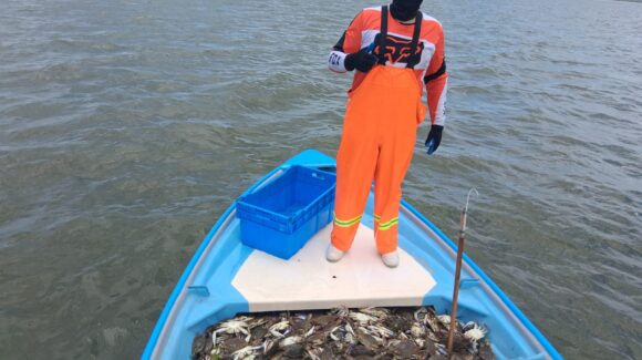 Autovedas lunares favorecen la captura de jaiba en la Bahía Santa María, en Angostura