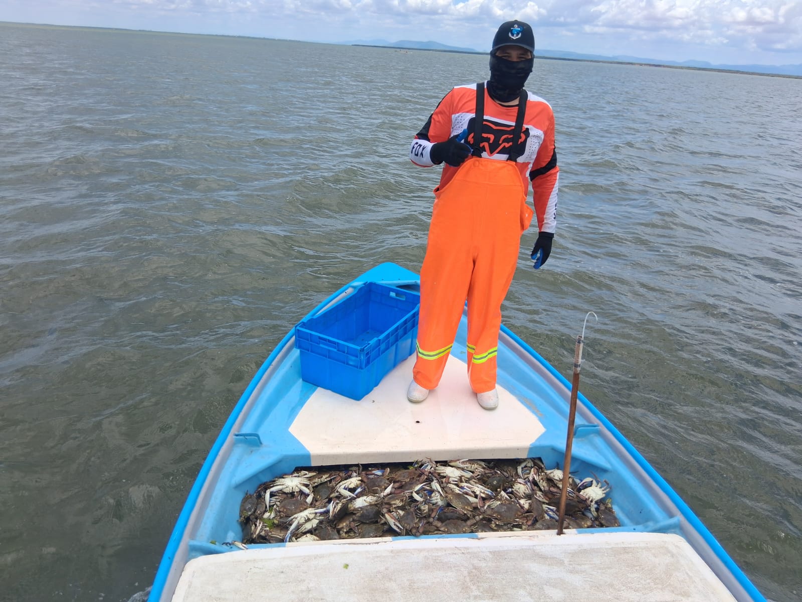 Pesca de jaiba