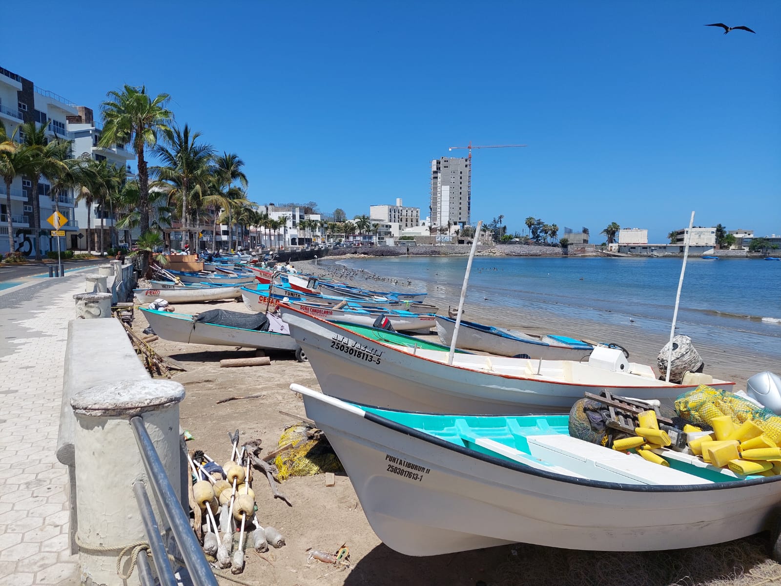 pescadores de mazatlan