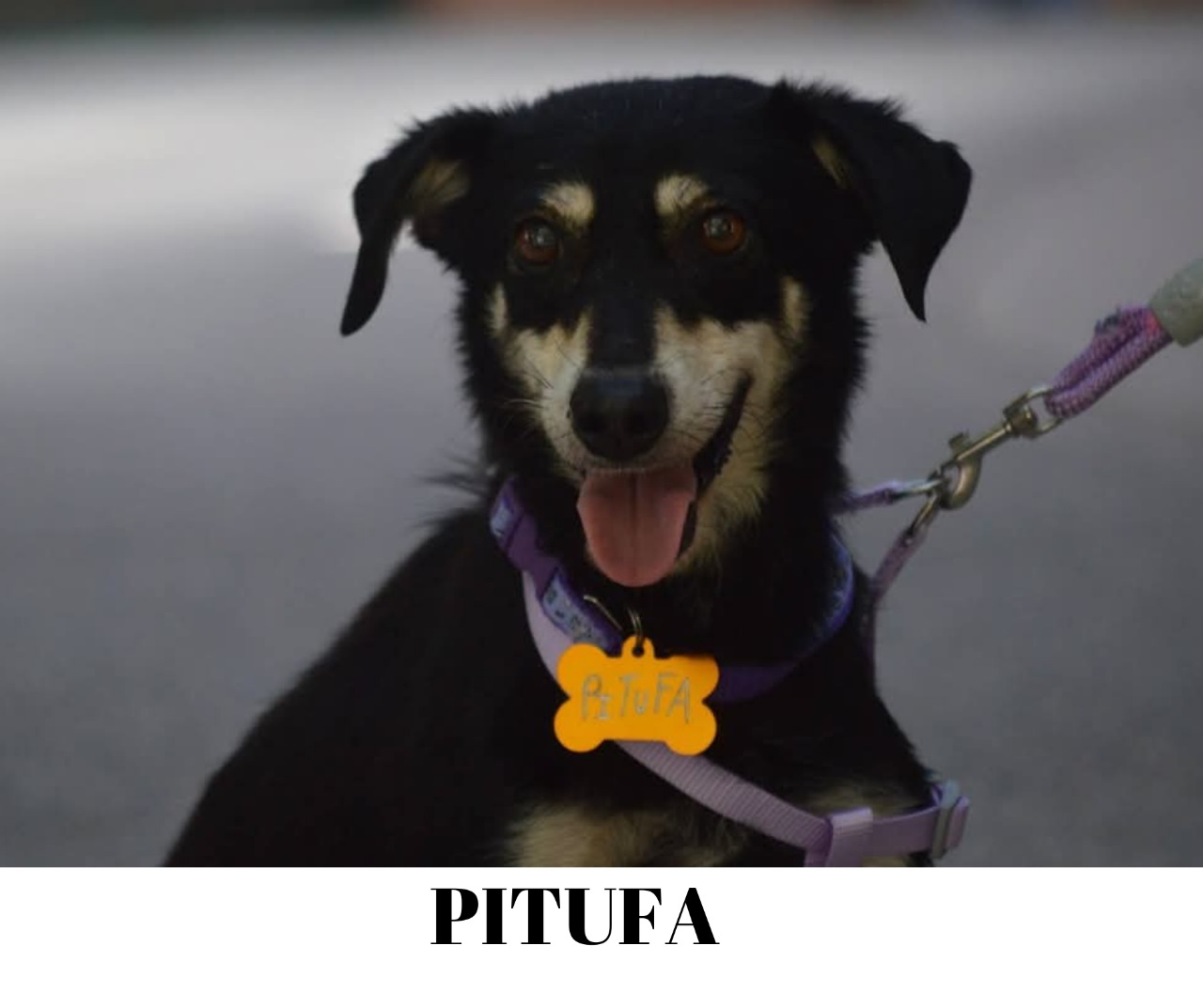 pitufa