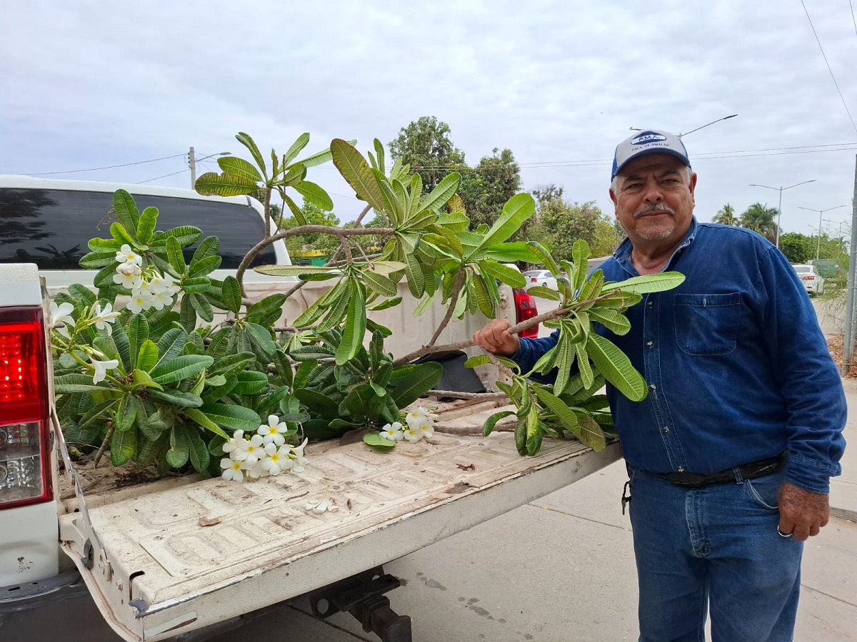 Lluvias traen vida verde a Guasave: Ecología entrega miles de plantas a escuelas