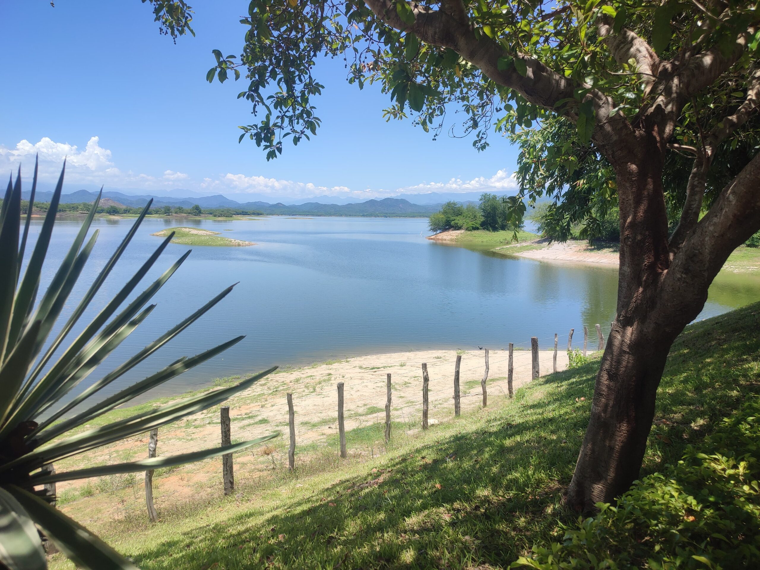 presa picachos