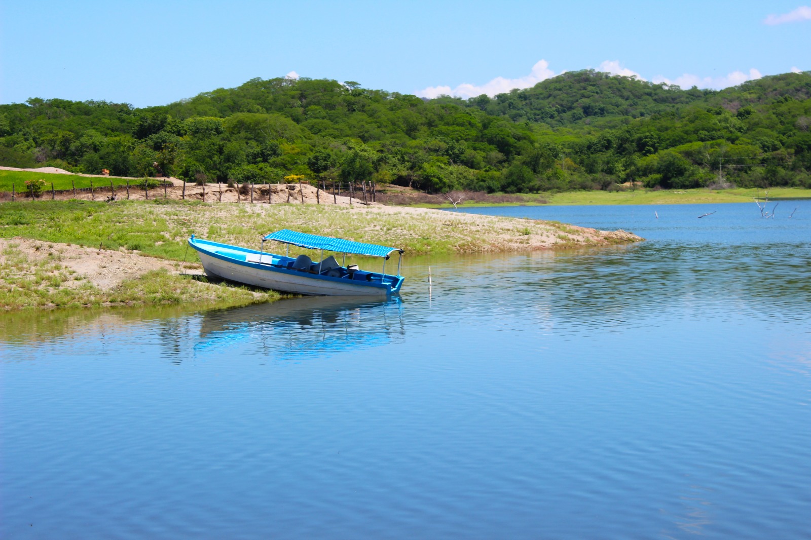 presa picachos