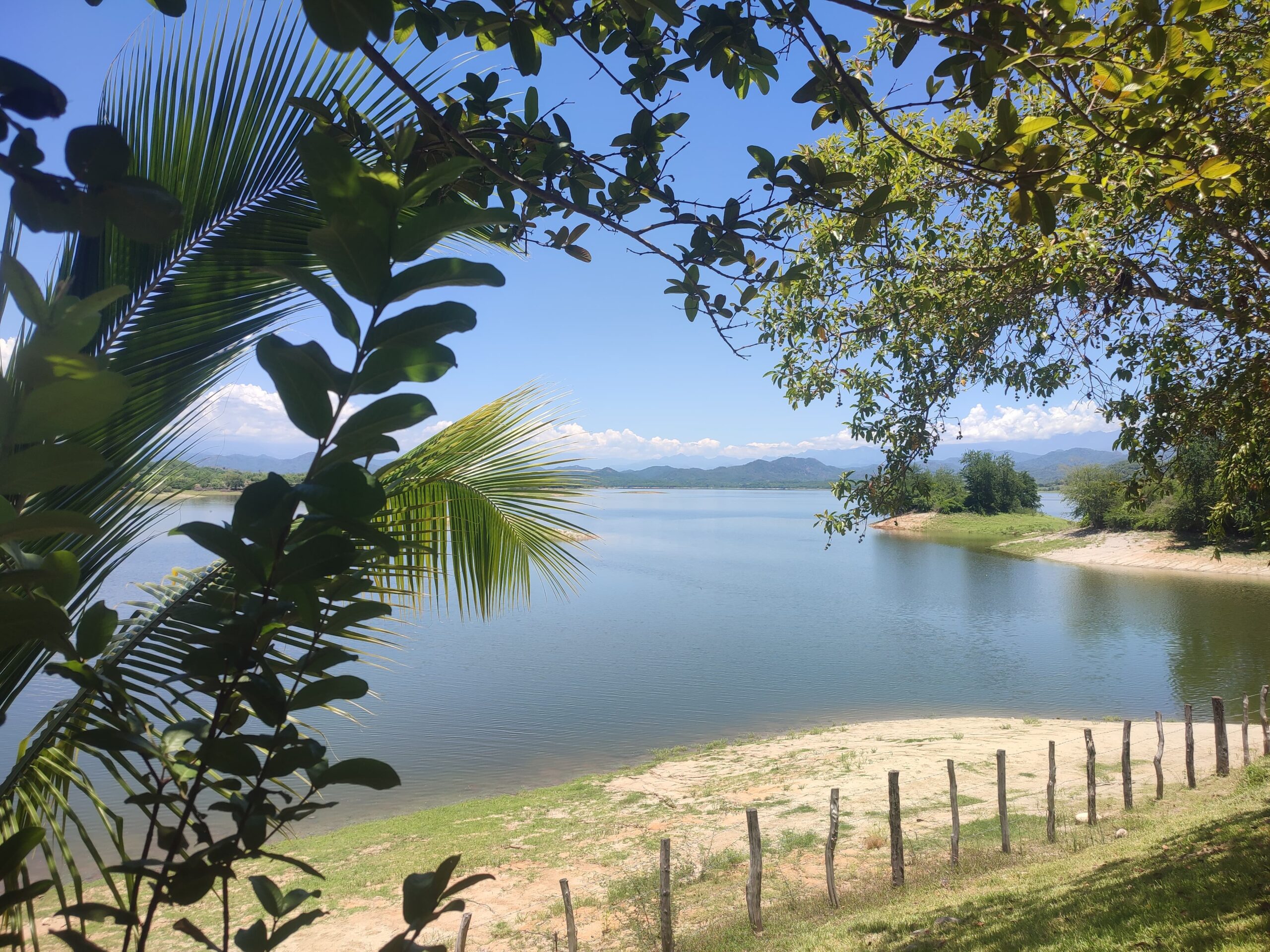 presa picachos