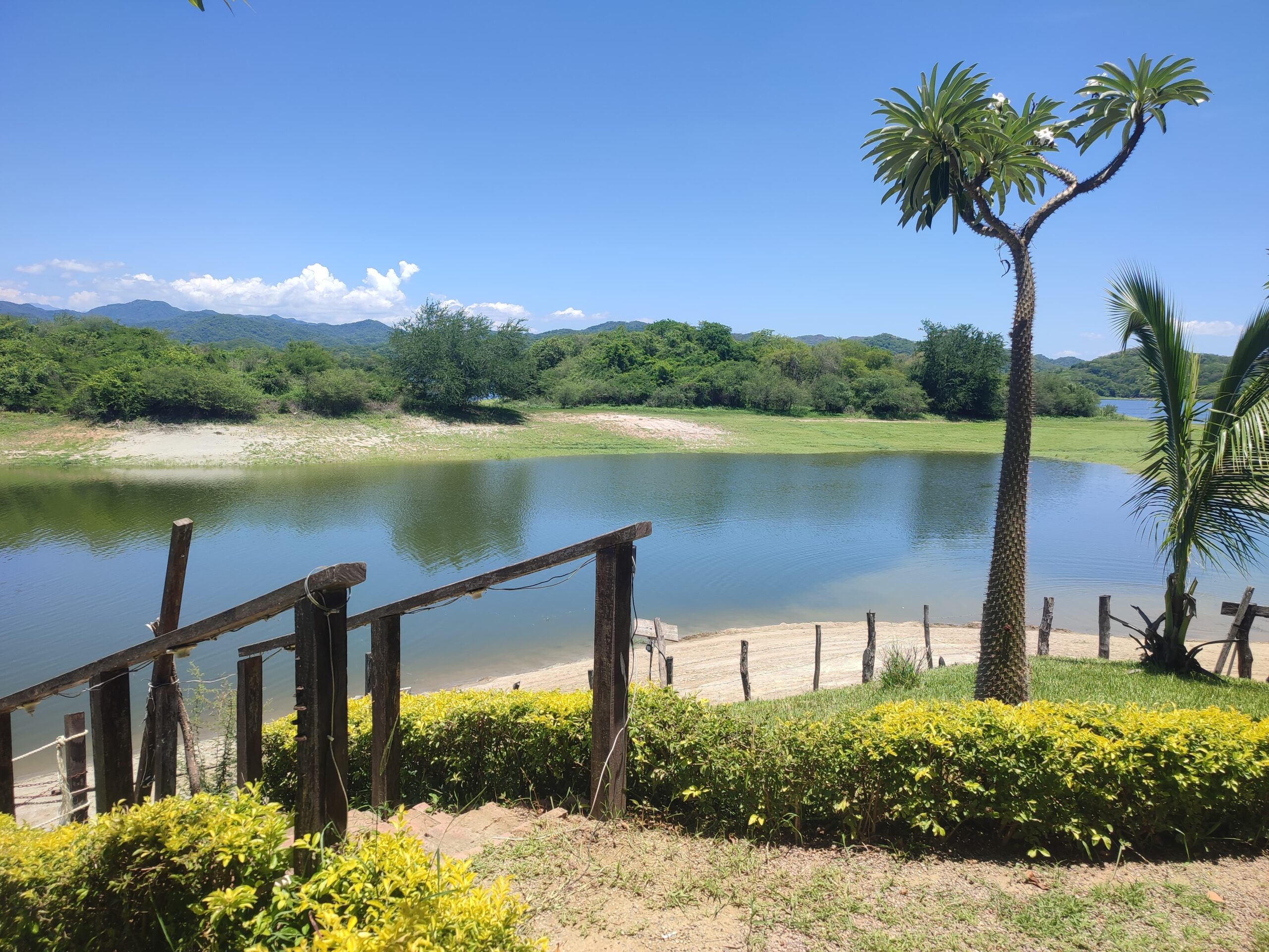 presa picachos
