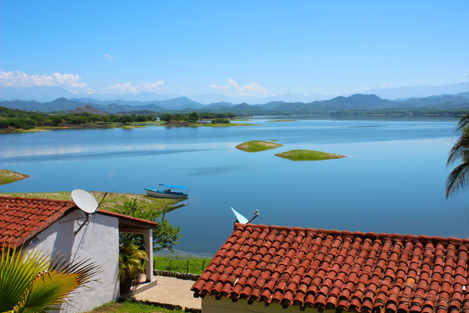 presa picachos