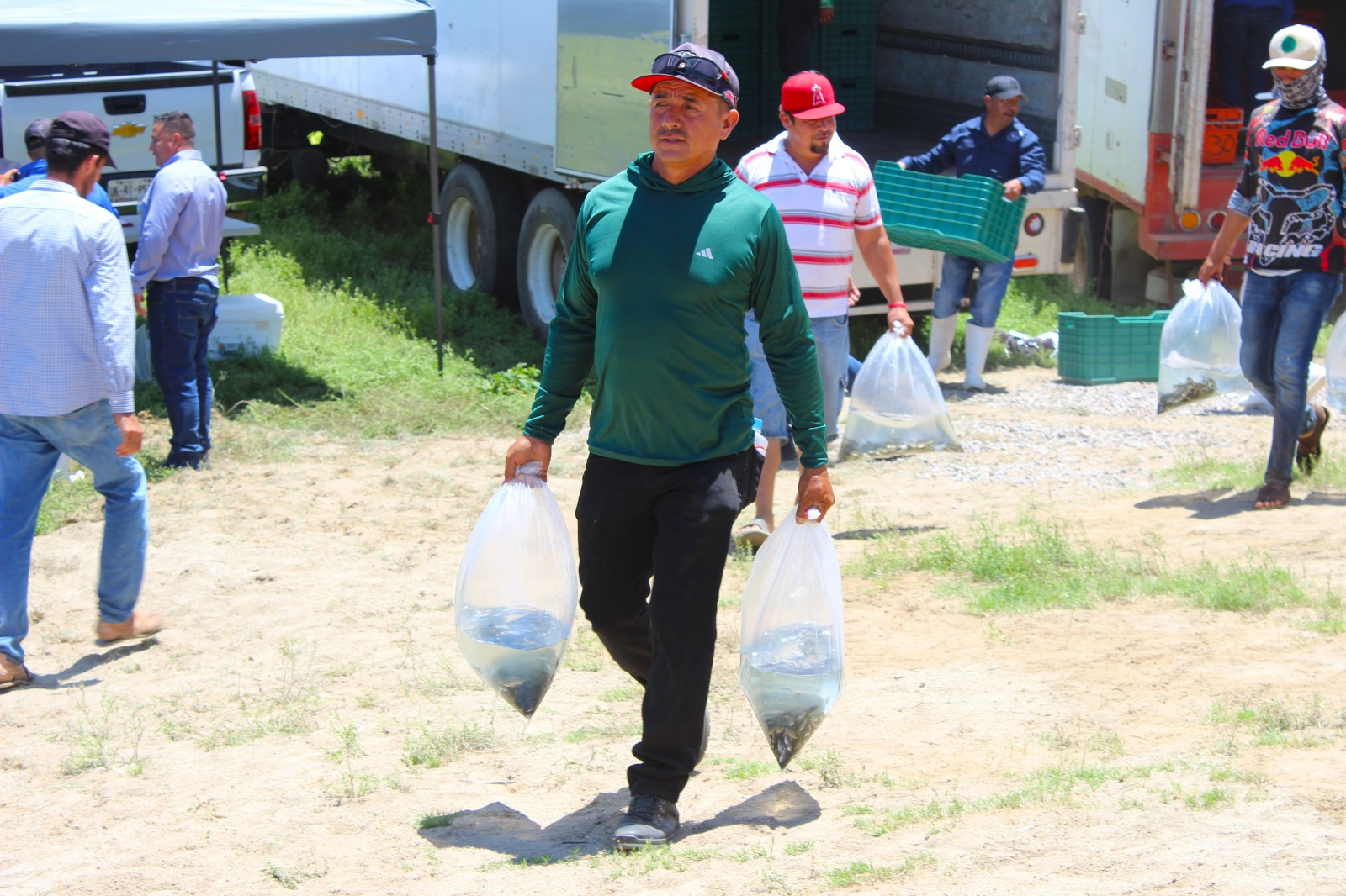 Arranca programa de Repoblamiento de Embalses y Presas en Mazatlán