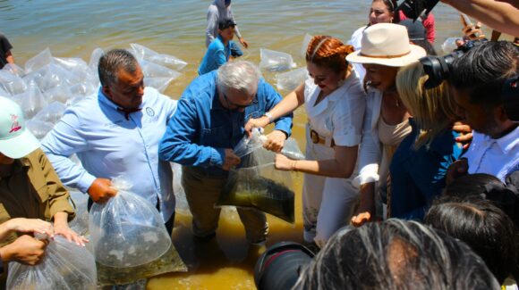 Arranca programa Repoblamiento de Embalses y Presas en Mazatlán