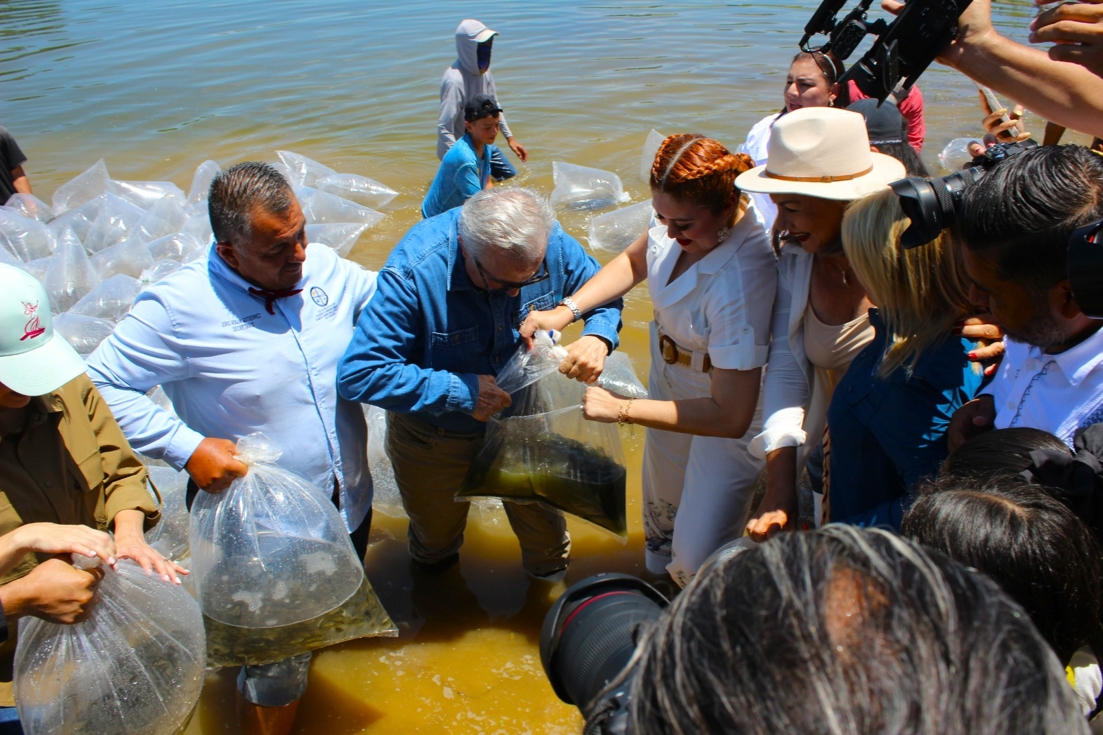 Arranca programa de Repoblamiento de Embalses y Presas en Mazatlán