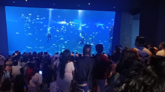 Gran Acuario Mazatlán es reconocido como Predio que Maneja Vida Silvestre por su labor en conservación