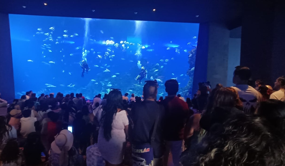 El Gran Acuario Mazatlán fue reconocido como Predio o Instalación que Maneja Vida Silvestre