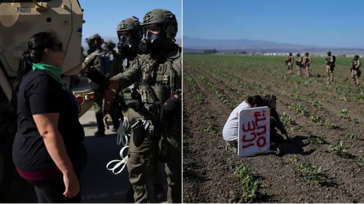 ICE realiza redada en granja agrícola en California, Estados Unidos.