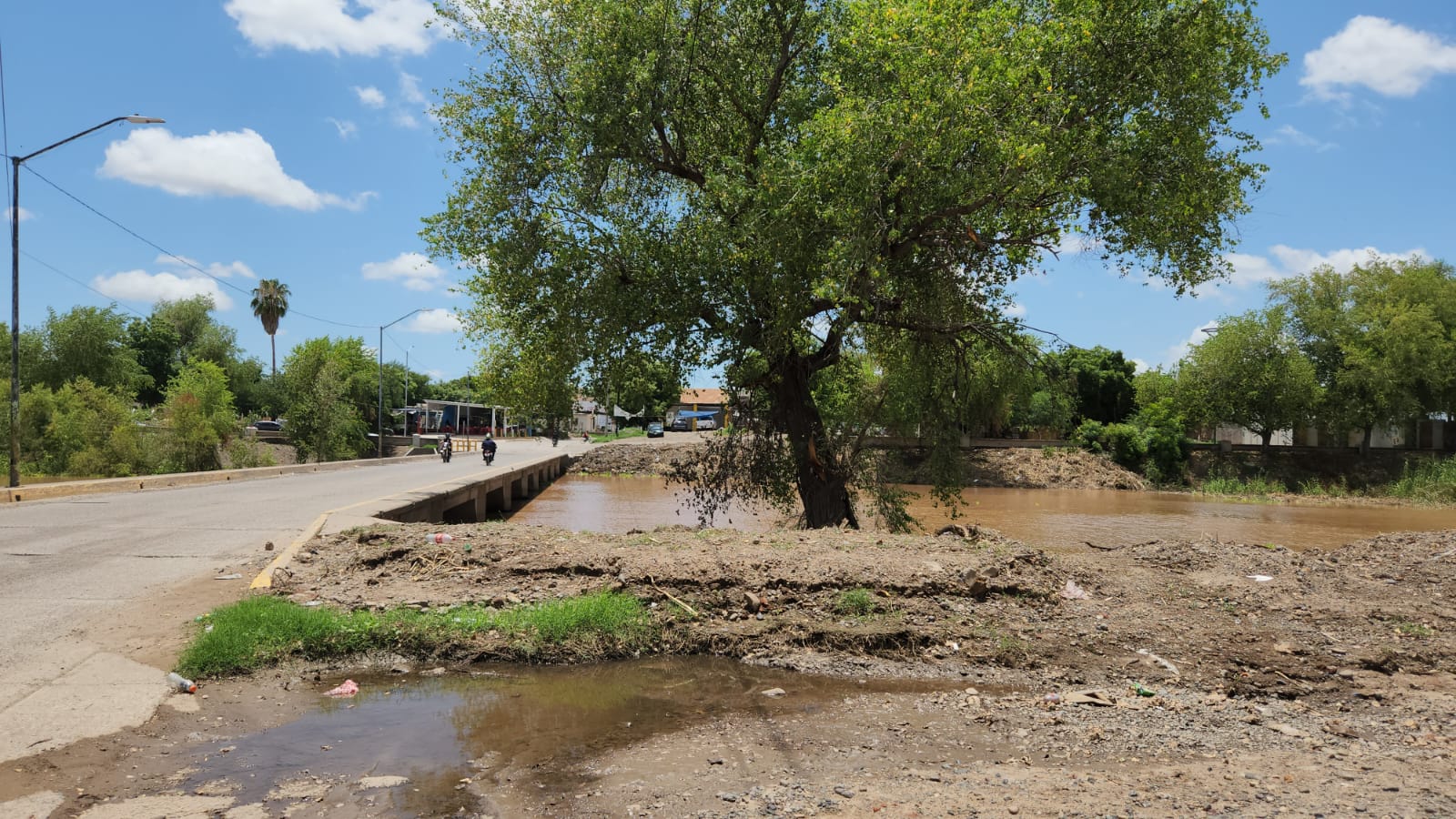 "No hay nada de qué preocuparse", el río Sinaloa, en Guasave, va a la baja