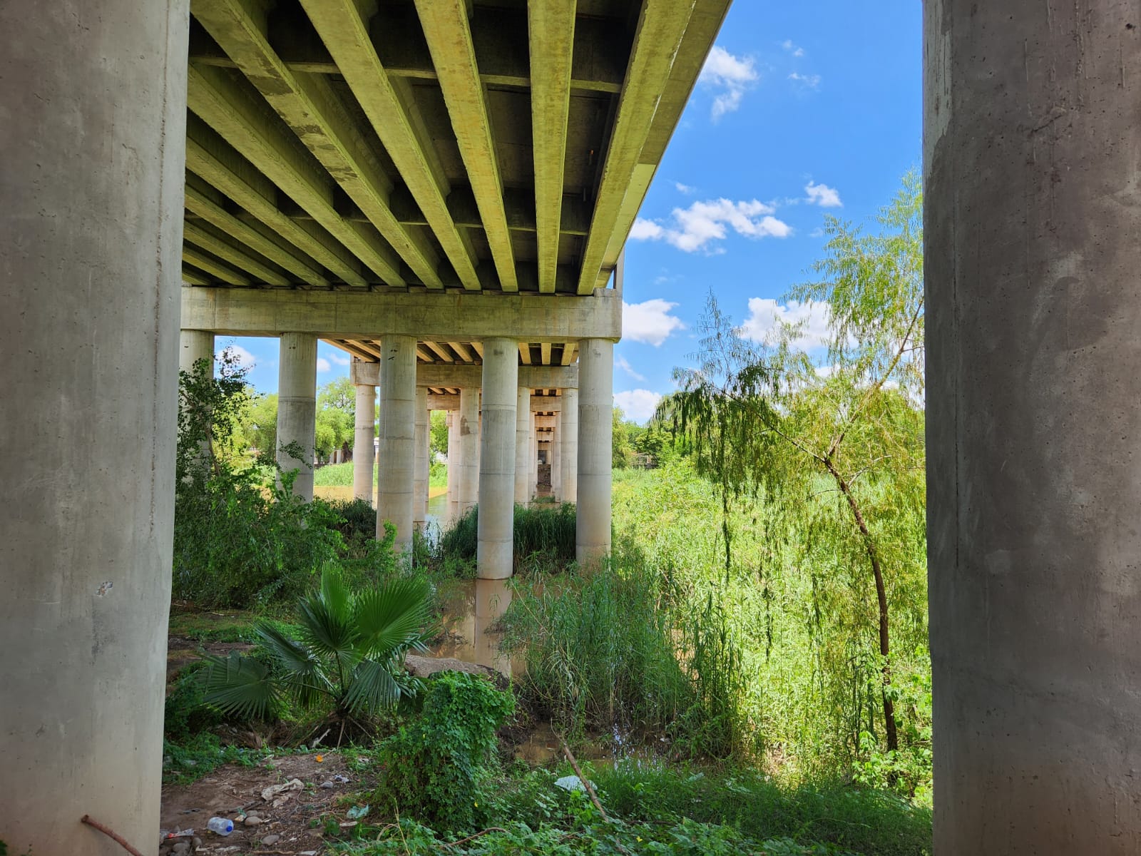 "No hay nada de qué preocuparse", el río Sinaloa, en Guasave, va a la baja