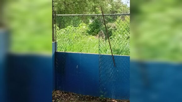 Vecinos alertan y policía detiene a presunto ladrón en Kínder de Mazatlán