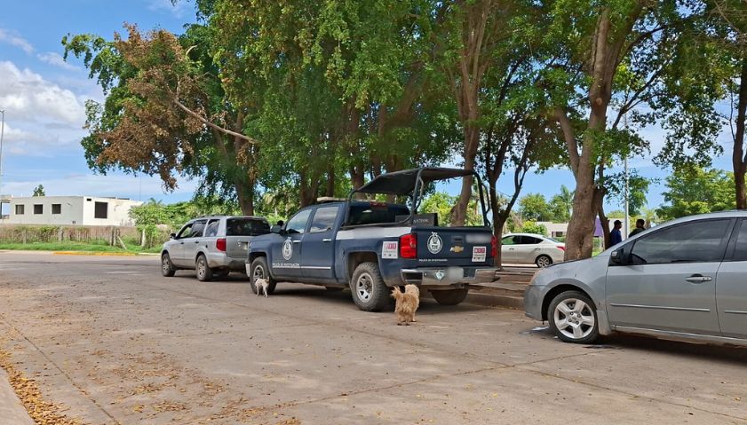 Desaparecieron por más de cinco horas; dos hermanas son rescatadas de secuestro virtual, en Guasave
