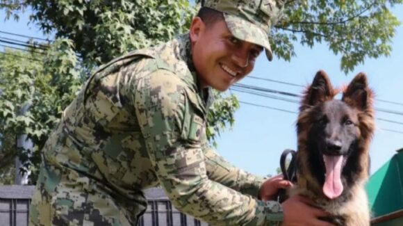 Con lealtad y valentía, Semar rinde homenaje a sus binomios caninos en el Día del Perro