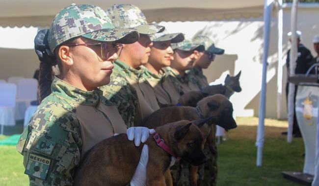semar rinde homenaje a sus binomios caninos elementos