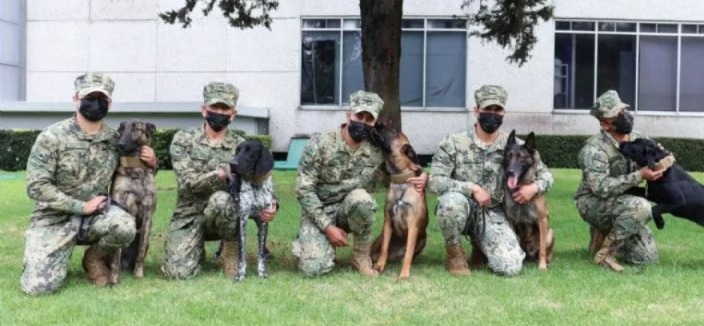 semar rinde homenaje a sus binomios caninos en mazatlan