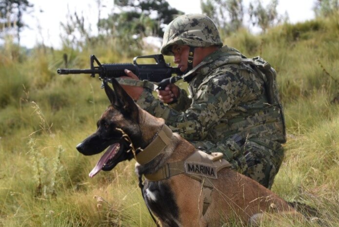 semar rinde homenaje a sus binomios caninos perro