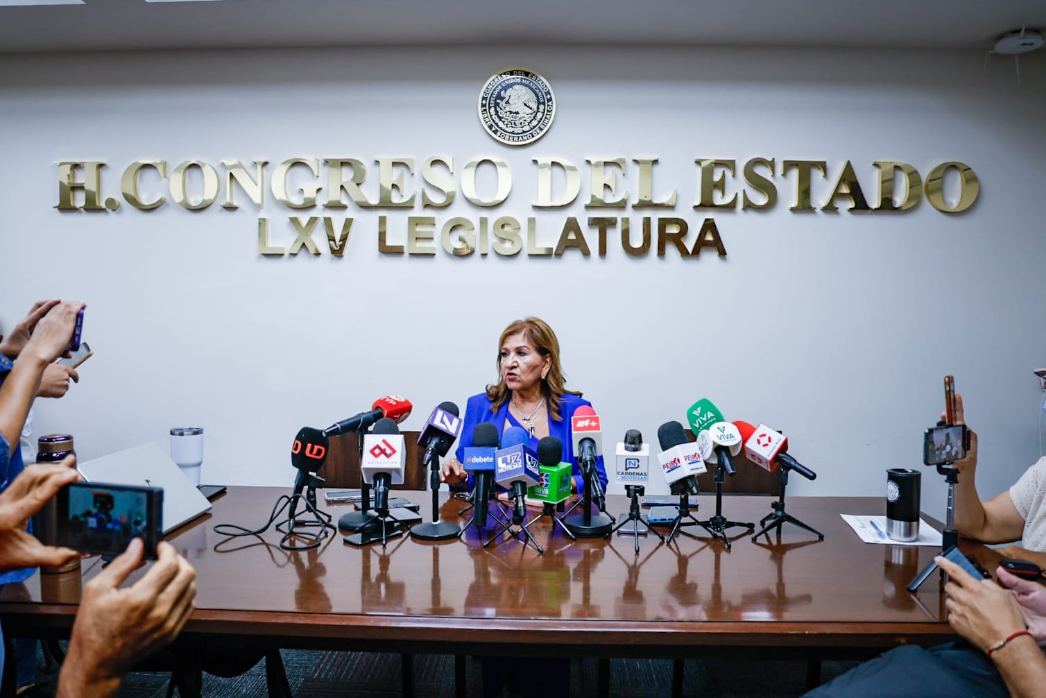 Teresa Guerra Ochoa