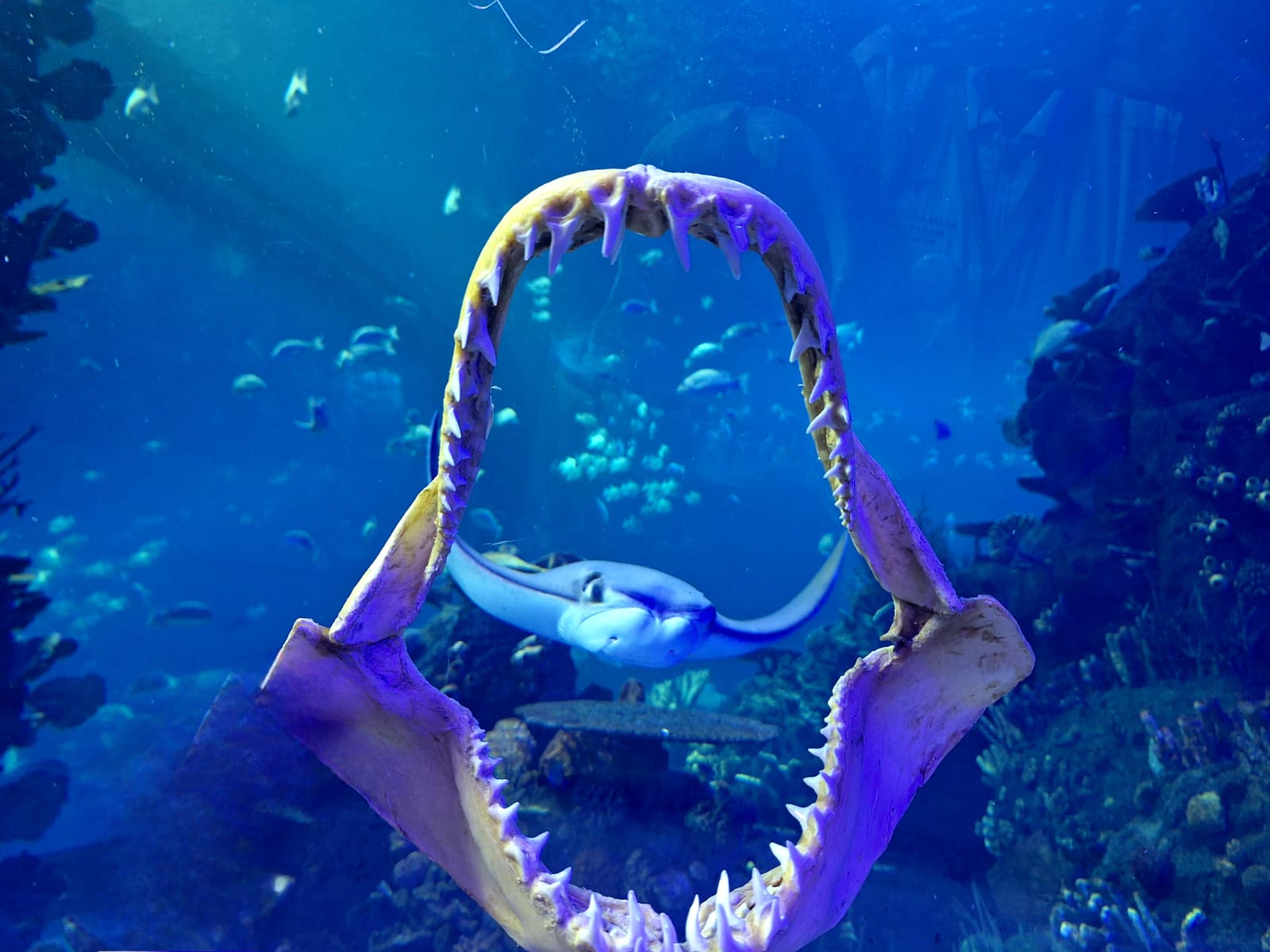 Gran Acuario de Mazatlán
