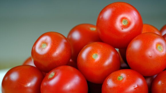 ‘Esto no se termina’: Rocha sobre cuota compensatoria del 17.09% al tomate mexicano en EE.UU.