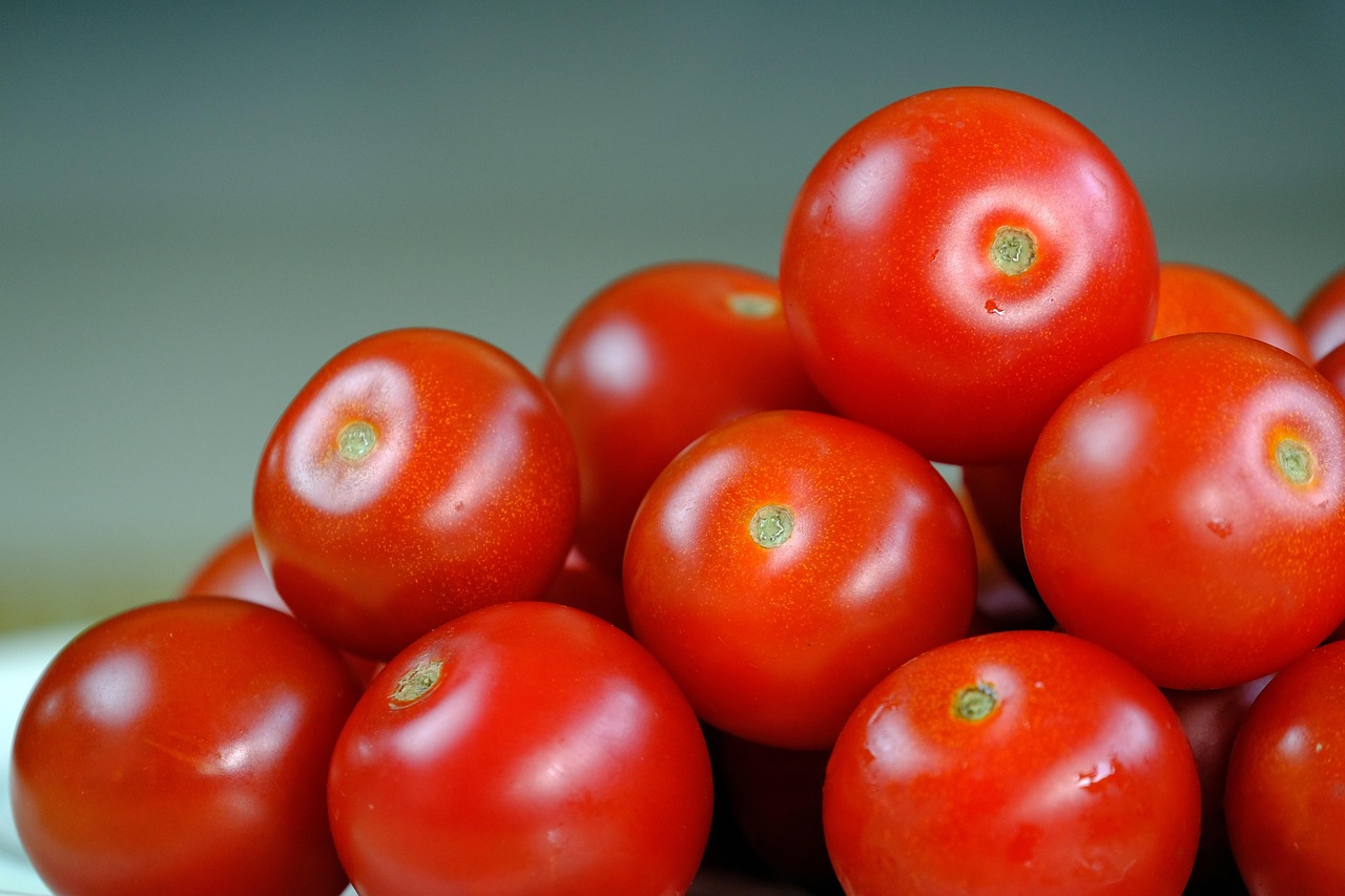 'Esto no se termina': Rocha sobre cuota compensatoria del 17.09% al tomate mexicano en EE.UU.