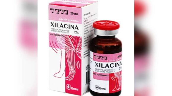 Xilacina: la peligrosa “droga zombie” que avanza en México y América Latina