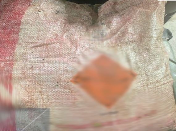 Aseguran elementos de la marina kilogramos de explosivos abandonados en Concordia