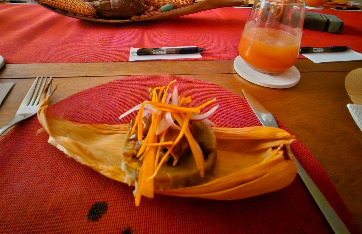 Casa Selene en Culiacán