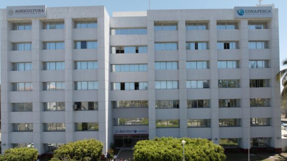 Incierto se ve el panorama en Conapesca ante el arribo del nuevo titular, pero esperan apertura: Coades