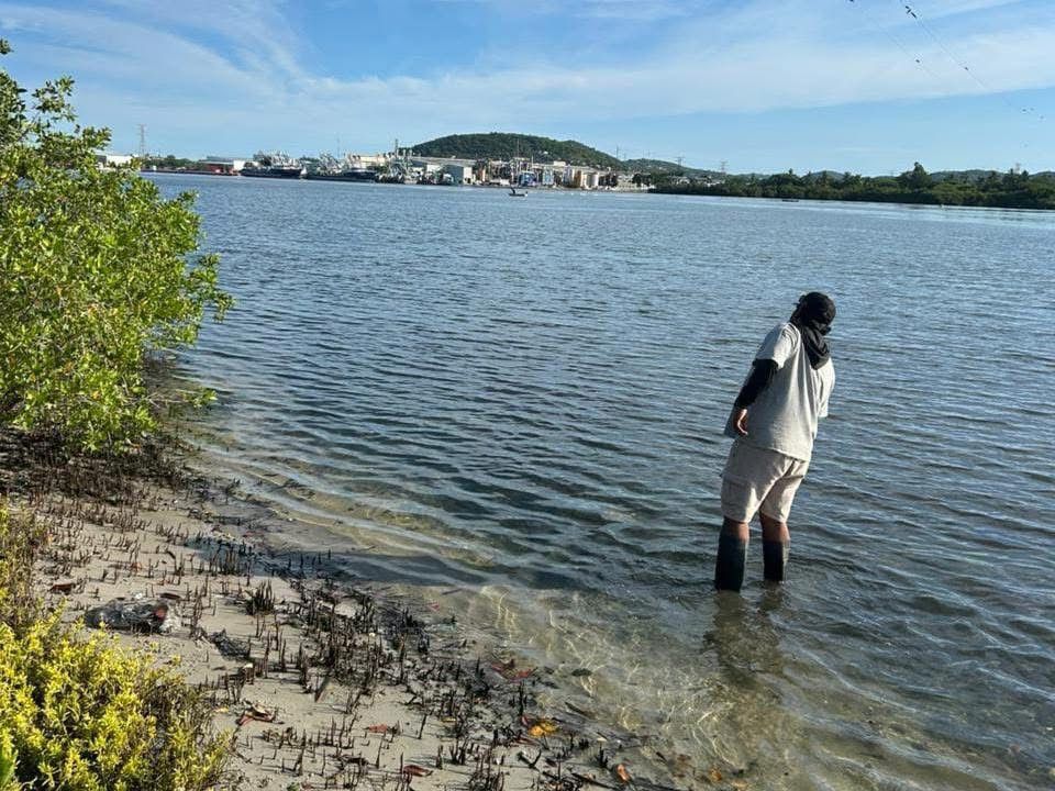 Daños submarinos en aguas de Mazatlán