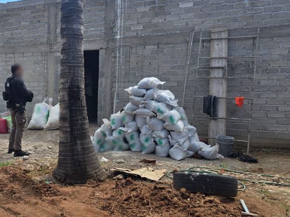 Decomisan un inmueble con drogas en Culiacán