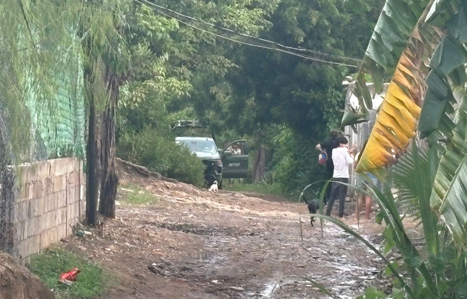 En un arroyo ejecutan a balazos a un hombre en la colonia Ampliación 5 de Febrero en Culiacán
