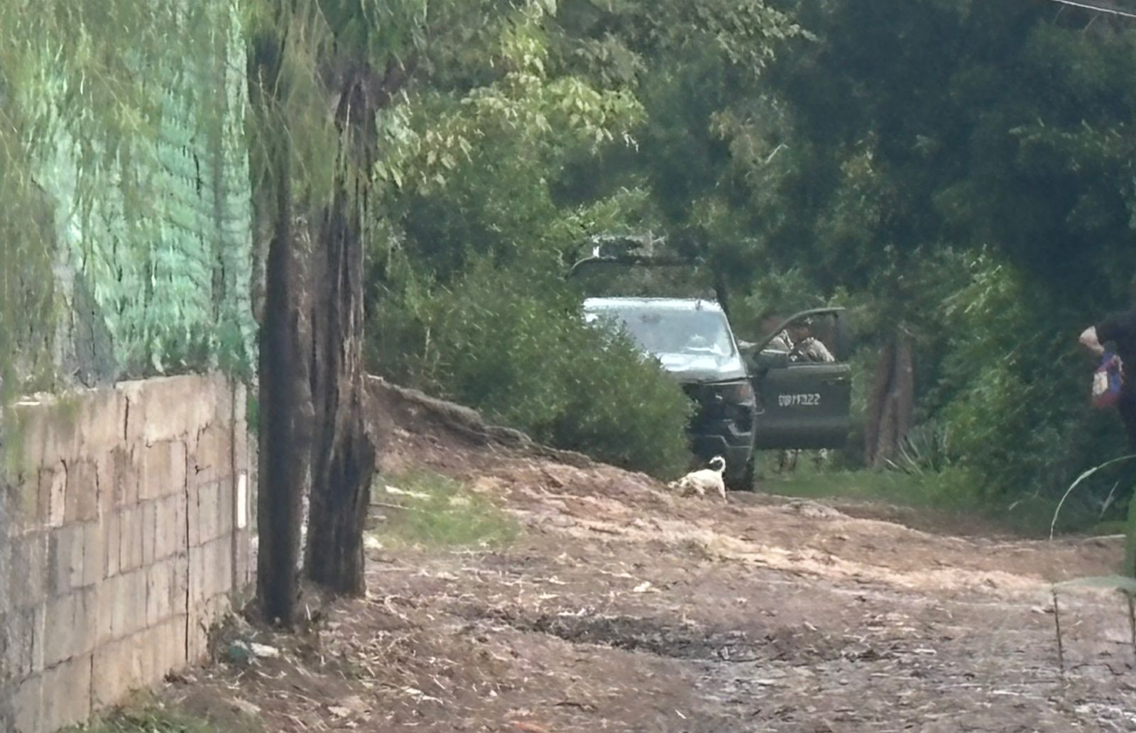 En un arroyo ejecutan a balazos a un hombre en la colonia Ampliación 5 de Febrero en Culiacán