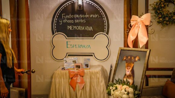 “Sus últimos días estuvo llena de amor”; despiden a Esperanza, la perrita baleada en Culiacán