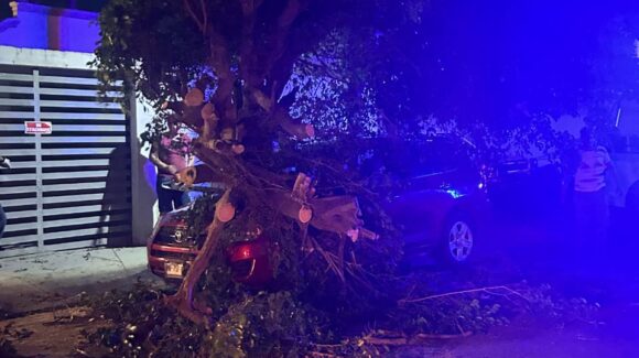 Rachas de viento en Los Mochis, derriba barda de hospital, árboles y cortes de energía eléctrica