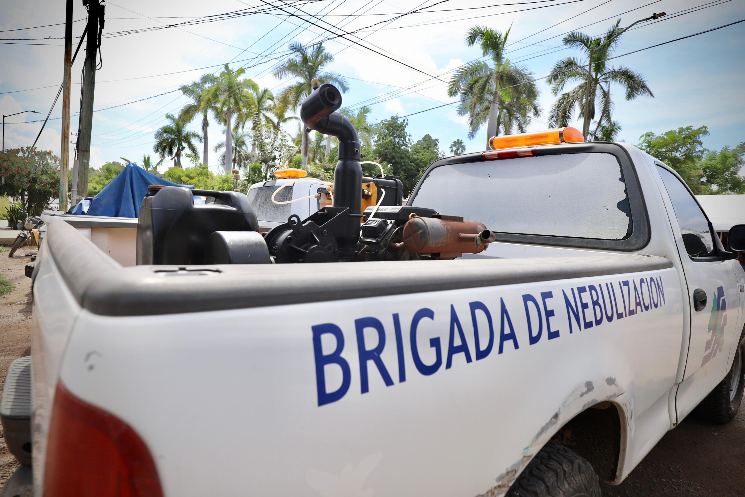 Fumigación contra el dengue
